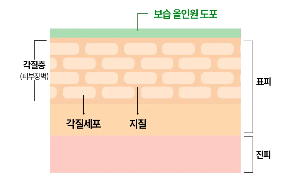 [보습/건성] 아이소이 포맨 모이스춰 닥터 올인원 100ml 기획 (+보습 올인원 15ml) 상세페이지 12